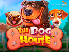 Red dog casino no deposit bonus codes 202381